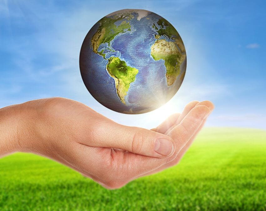 green business sustainability